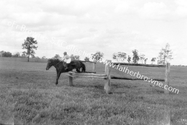 SHOW JUMPING